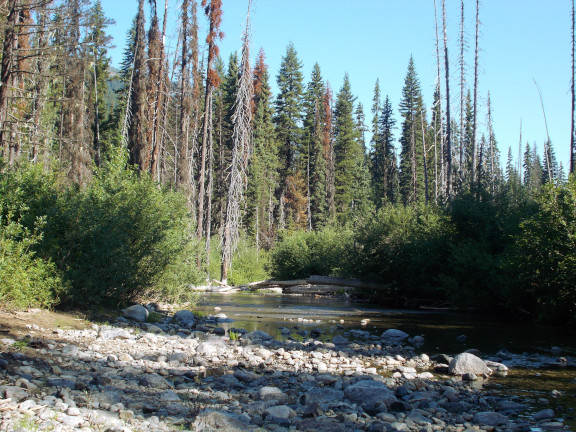 Trout Lake Trail
