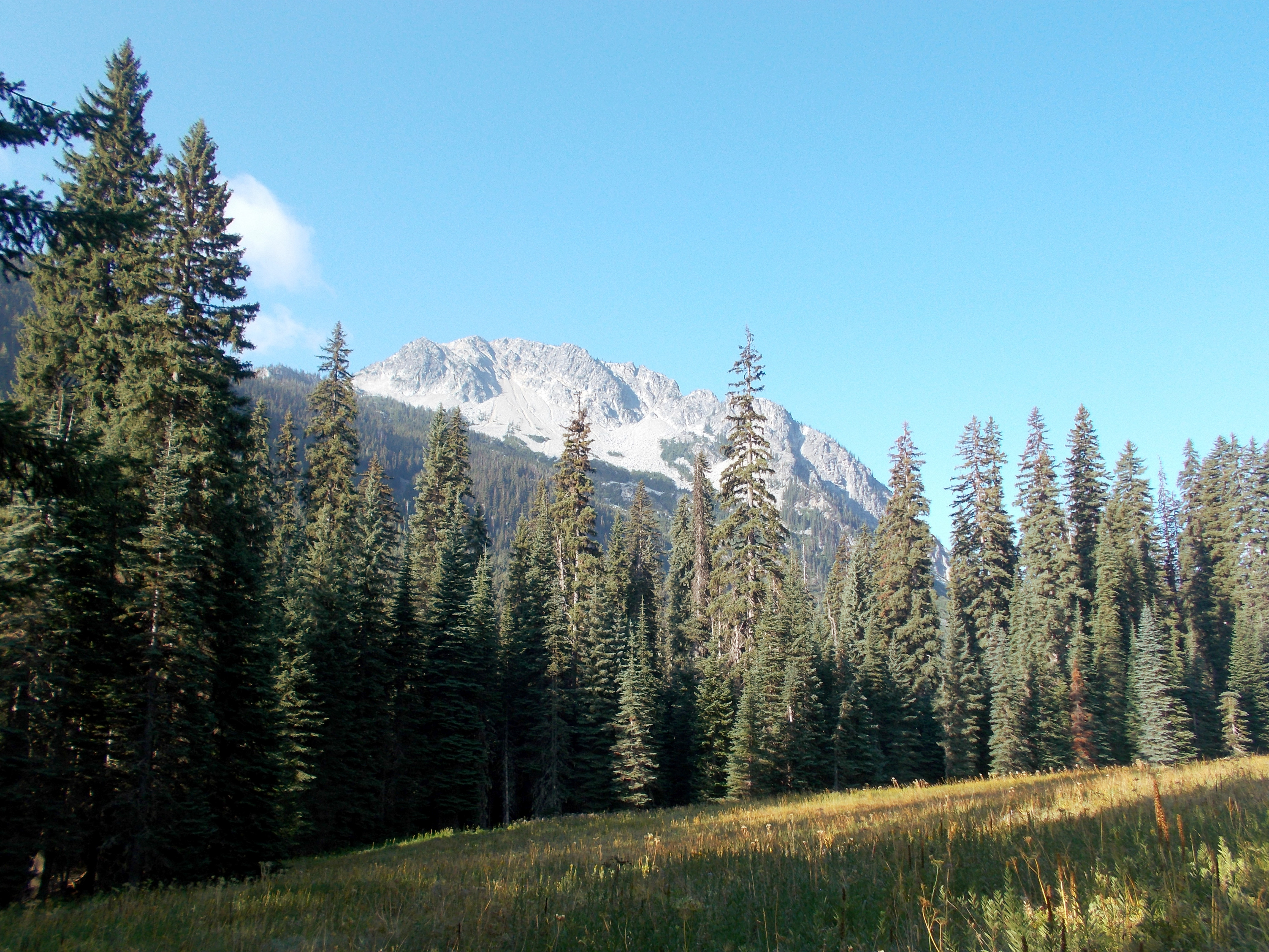 Meadow Creek Meadows
